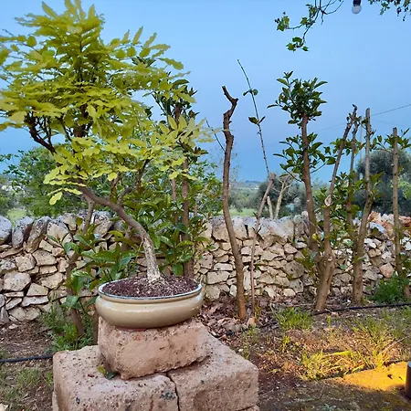 Sto Al Trullo - Historic Trullo With Private Jacuzzi And Sauna