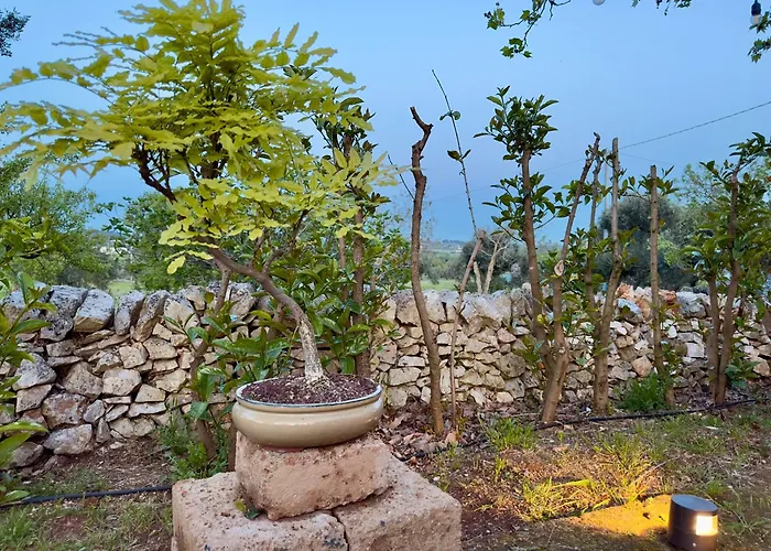 Sto Al Trullo - Historic Trullo With Private Jacuzzi And Sauna